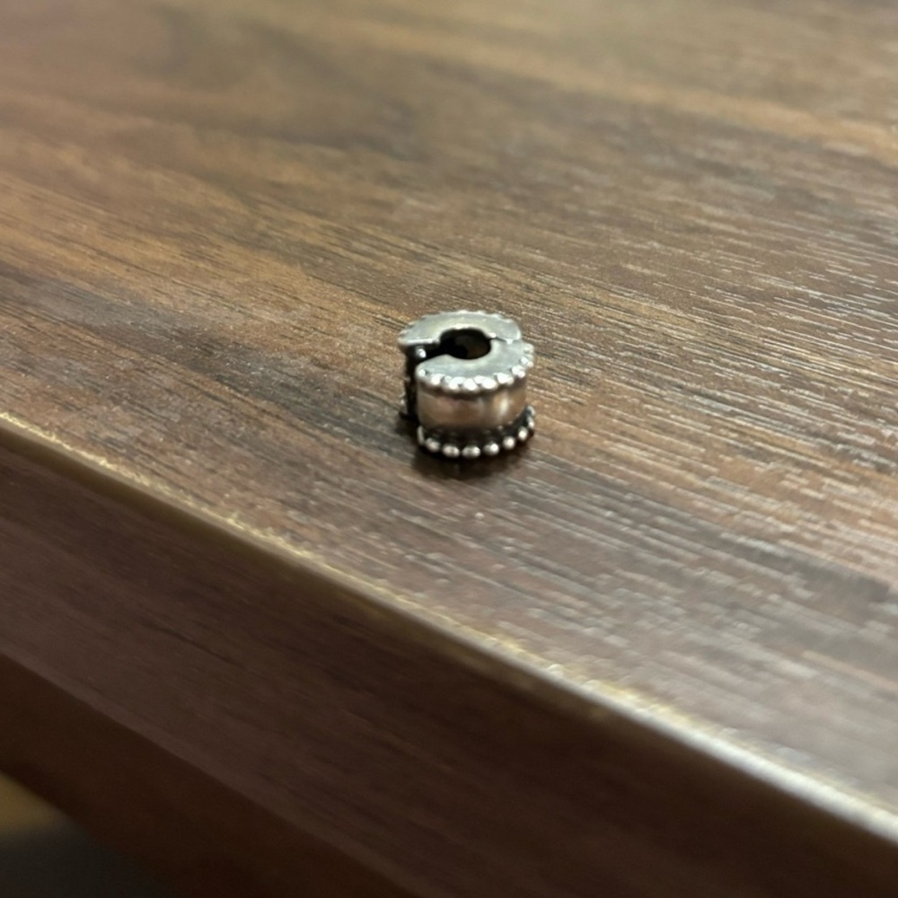 Pandora spacer charm